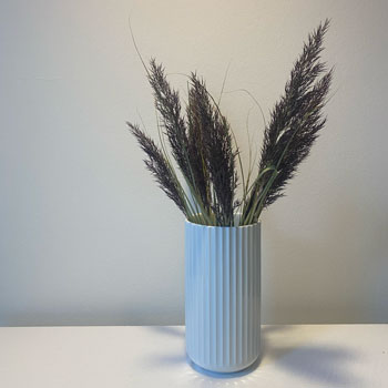 Billede af vase